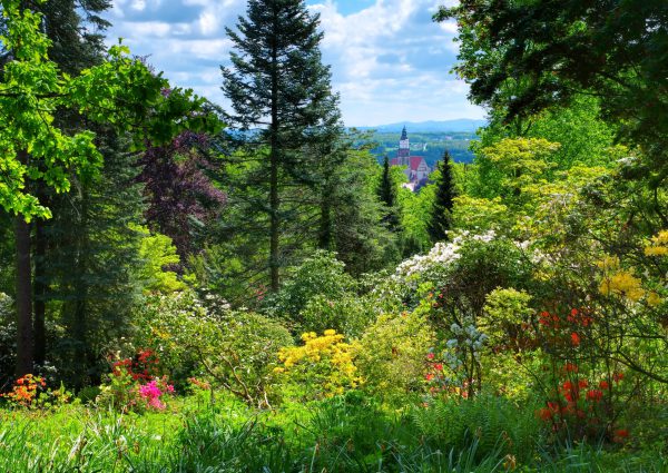 View,From,The,Mountain,Hutberg,During,The,Flowering,Of,The Blick vom Hutberg durch den Kamenzer Stadtwald